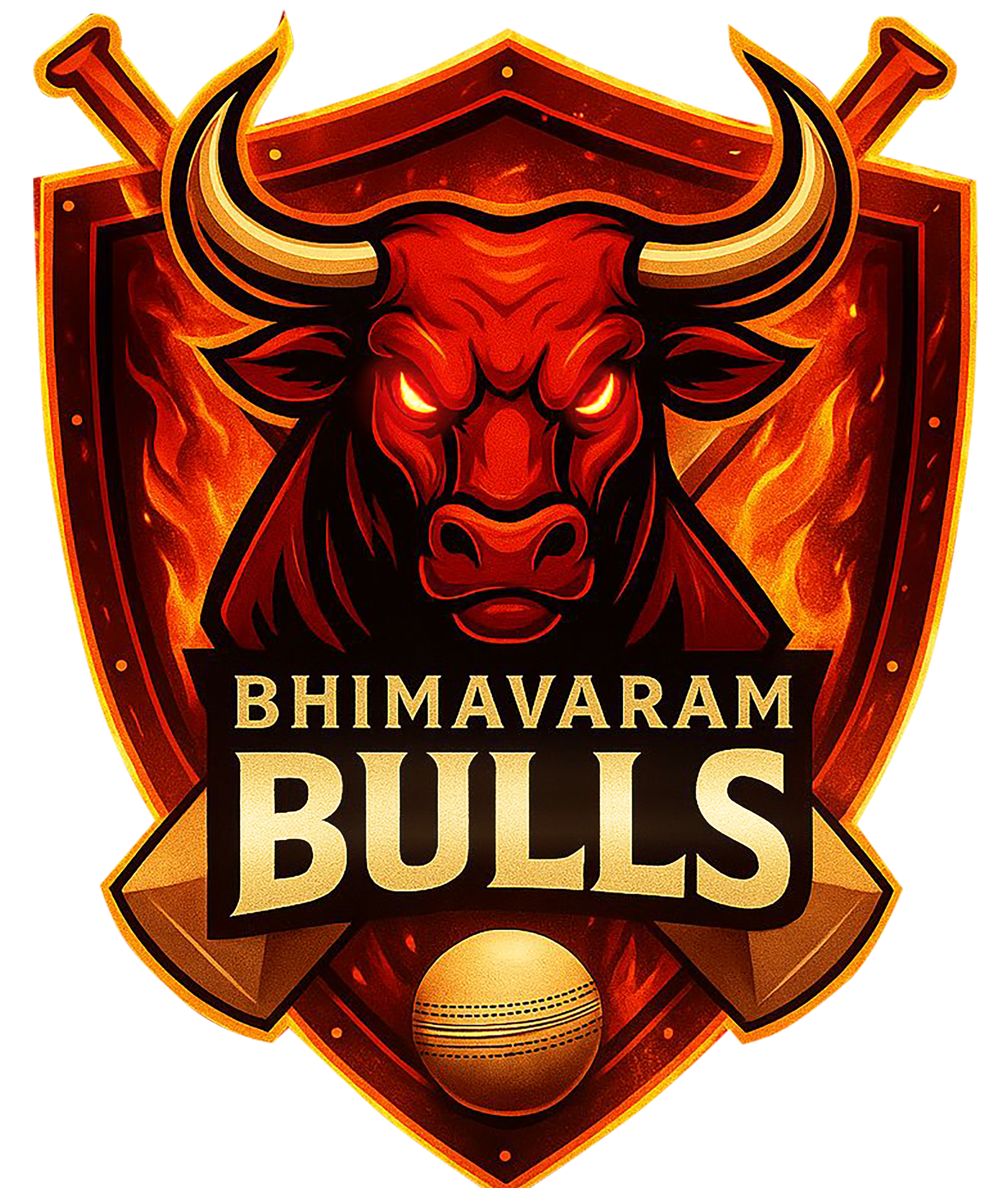Bhimavaram Bulls